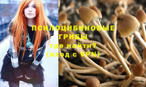 таблы Арсеньев