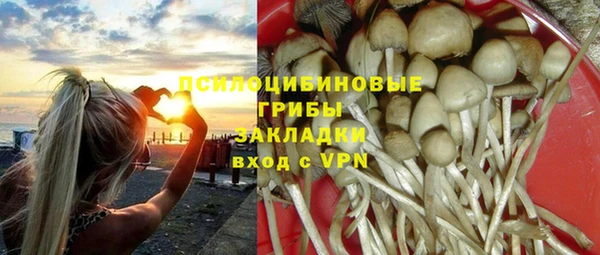 дурь Армянск