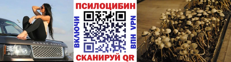 Купить где  Геленджик  Галлюциногенные грибы прущие грибы 